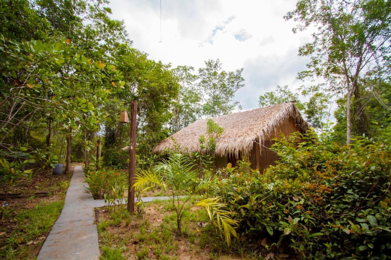 Amazon Turtle Lodge Careiro 외부 사진